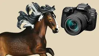 How to PHOTOGRAPH Your BREYER Model Horse CUSTOMS