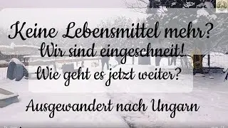 Wir kommen NICHT mehr raus!😮#SCHNEECHAOS? 🌬️Oder normaler #WINTER?❄️🌨️#M&auml;rchenwald in #Ungarn 🌨️❄️☃️