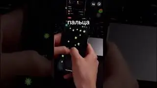 BLUM - Лайф-Хак Лупа как фармить много Blum Point 