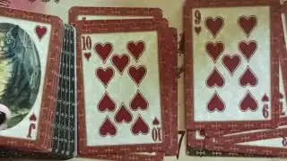 Bicycle playing cards 
