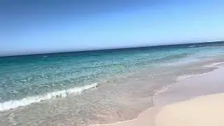 Jaz Almaza Beach Resort, Almaza Bay 🌊 🏝️ ☀️