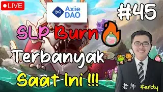 #45. SLP BURN TERBANYAK SAAT INI !!! -- PERKENALAN BERBAGAI TOOLS DALAM AXIE DAO !!!