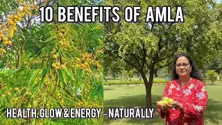Amazing Health Benifits Of Amla | Skin ,Hair & Immunity Booster | Amla Best Winter Superfood |#amla