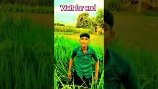 Kaun Hai re #Alok Aman comedy tikri wale#😃😄😄😀😄 #comedy #reelscomedy