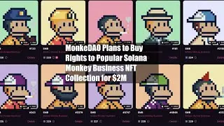 MonkeDAO Plans to Buy Rights to Popular Solana Monkey Business NFT Collection for $2M