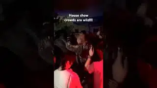 THIS IS WHY HOUSE SHOWS ARE THE BEST #punkrock #underground #houseshow #moshpit #crowdsurfing