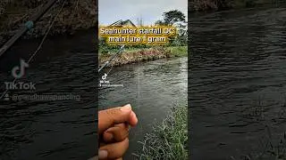 Seahunter starfall DC vs Lure Rayap 1 gram #fishing #mancing #mancingmania