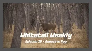 Whitetail Weekly Episode 29 - Access is key