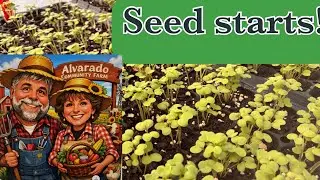 Should we plant early this year? What are we doing today?