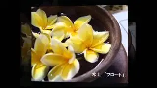 The Story of Natural Look Flowers