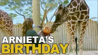 Arnieta Giraffe's Birthday