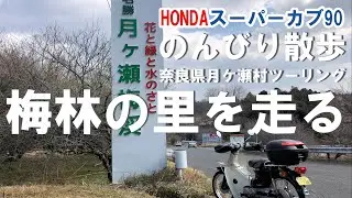 【HONDAスーパーカブ90】カブ散歩／梅林の里ツーリング　月ヶ瀬梅渓を散策！①