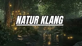 Beruhigende Waldatmosphäre 🌲 Entspanne Nach Der Arbeit, Linde Stress & Schlafe Tief