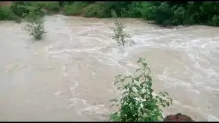Thogarpally erra kaluva