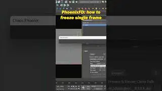 PhoenixFD  how to freeze single frame