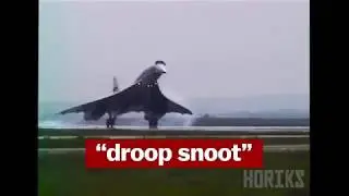 Droop Snoot