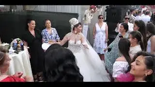 COSTEL BIJU & SORINEL PUSTIU 〰️ NUNTA VIOREL GEMARU 〰️