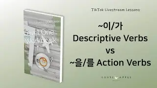 ~이/가 Descriptive Verbs vs ~을/를 Action Verbs