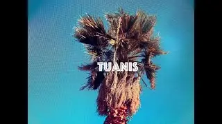 TUANIS