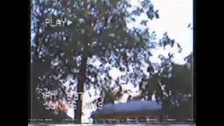 FLOWRS . (vhs music video)