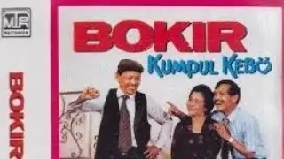 BOKIR ‼️ KUMPUL KEBO