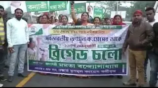 ঢাক-ঢোল, তাসা ইত্যাদি বাজাতে বাজাতে ব্রিগেডের সভায়, TMC Brigade Rally 2019