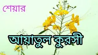 @ আয়াতুল কুরসি,সকল মুসলমানদের জন্য জরুরী.
