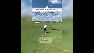 Mental de champion(ne)