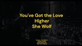 You've Got The Love | Higher | She Wolf | Matisse & Sadko, Florence the Machine, David Guetta & Sia