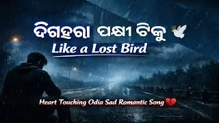 🕊️ ଦିଗହରା ପକ୍ଷୀ ଟିକୁ | Like a Lost Bird | New Odia Sad Romantic Song 2026 💔