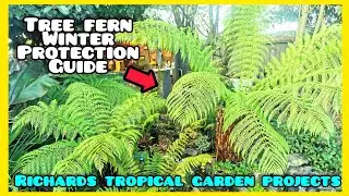 Как защитить древовидные папоротники зимой🌴 (Dicksonia Antarctica) Tropical Gardening UK