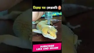 ডিম দিয়ে তেলেসমাতি 😨 Science Facts | 1M Bangla | Mayajaal #shorts