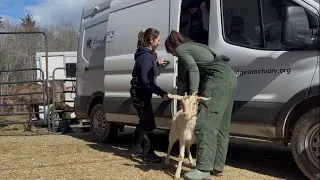 Our New Special Care Van - Upfit and Rescue
