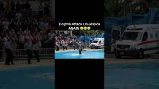 #jessica #dolphin #shorts #viral #short #video #ai