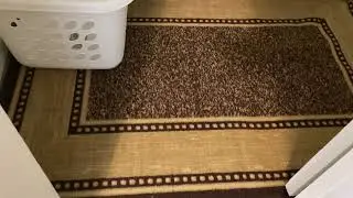 Machine Washable Non-Slip Rubberback Area Rug REVIEW