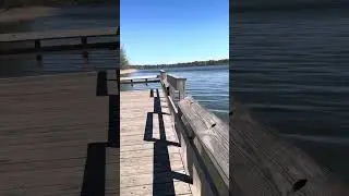 Virtual walk at Lake Elmo Park Reserve