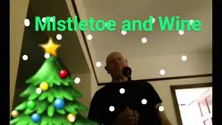 Mistletoe And Wine, Cliff Richard song cover. 
