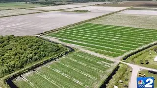 As Southwest Florida&rsquo;s population grows, farmland is at risk