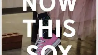 Pink Converse Sneakers & Flower Pattern Socks [MEHISOX]