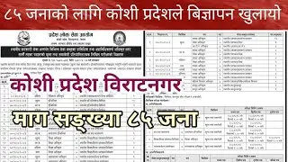 Koshi Province Vacancy 2082 | Government Job Nepal || DNK Jobs Update