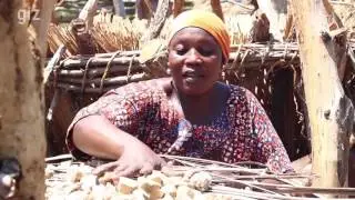 GIZ: My Farm, my business. The Farmer Business School and its sucess in Togo. 2017