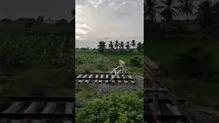 #song #tamil #music #love #canon #nature #mobile #vaakannama #gvprakash #arr #melody #tamil #song