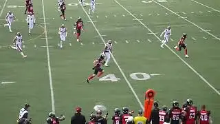 Ottawa Redblacks QB Dustin Crum throws a 21-yard pass to Marco Dubois vs. Montreal Alouettes 10/13