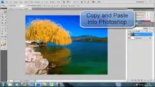 Fallibroome Photoshop: Removing white background
