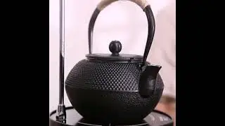 cast iron teapot chinese kungfu teapot enamel inner tea set tea life