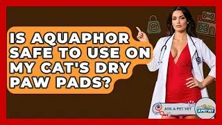 Is Aquaphor Safe To Use On My Cat's Dry Paw Pads? - Ask A Pet Vet