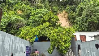 &Aacute;rvore cai em cima de telhado de resid&ecirc;ncia durante forte chuva no Riacho Doce