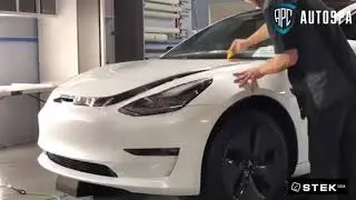 APC Auto Spa - STEK DYNOshield clear bra on Tesla Model 3