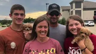 Maltipoo Puppies N More (Video Ad 2023)