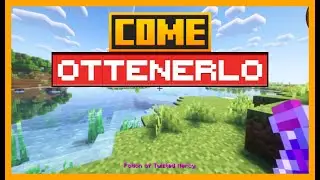 COME USARE LA POZIONE DELLA MISERICORDIA CONTORTA in Enigmatic Legacy MINECRAFT
